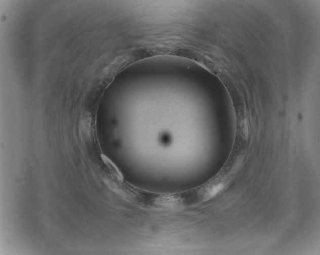 X0000074230231200609011249