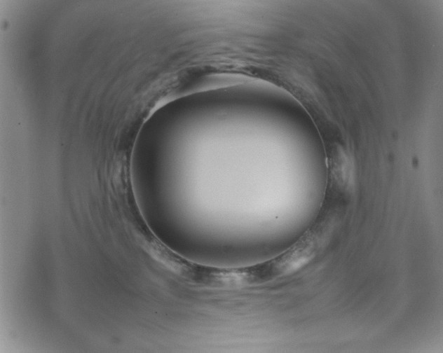 X0000074230233200609011249