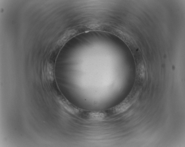 X0000074230234200609011249