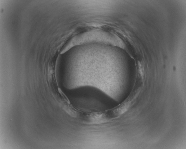 X0000074230235200609011249