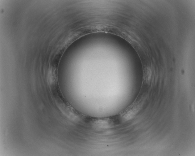 X0000074230236200609011249