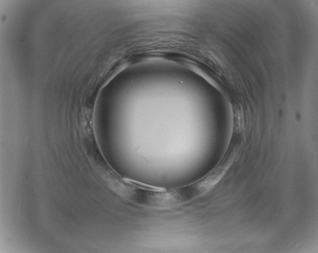 X0000074230237200609011249