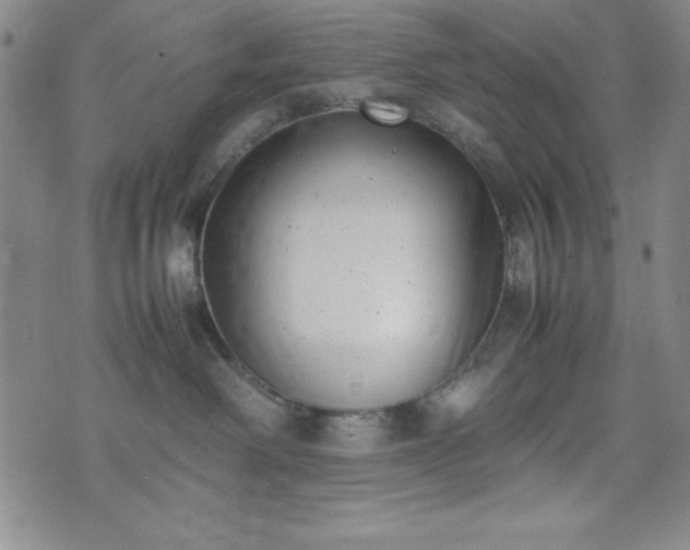 X0000074230238200609011249