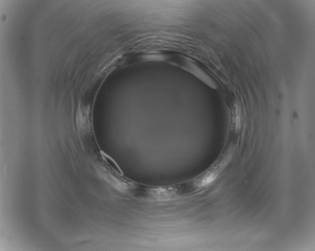 X0000074230239200609011249