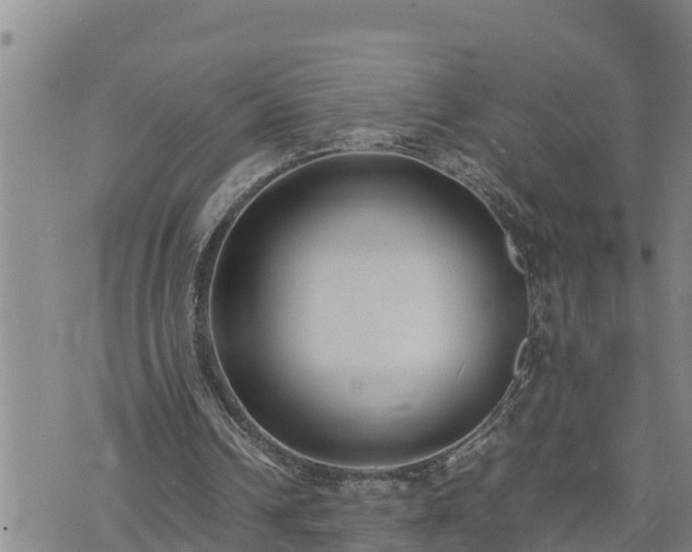 X0000074230242200609011249