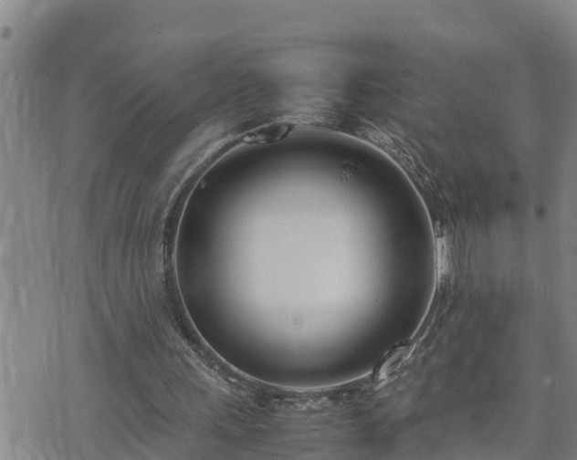 X0000074230243200609011249