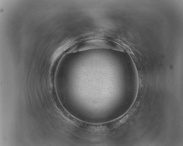 X0000074230245200609011249