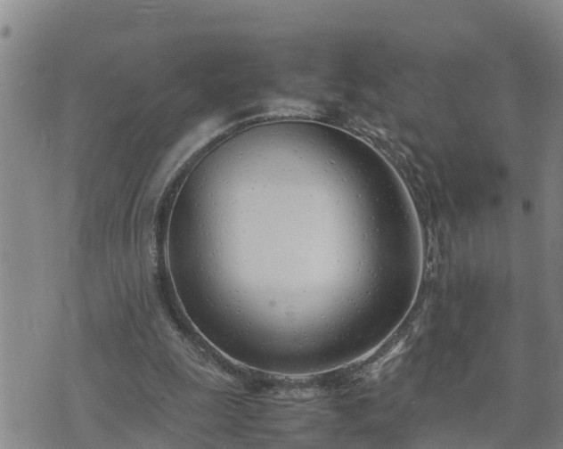 X0000074230247200609011249