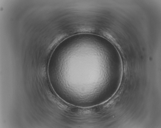 X0000074230249200609011249