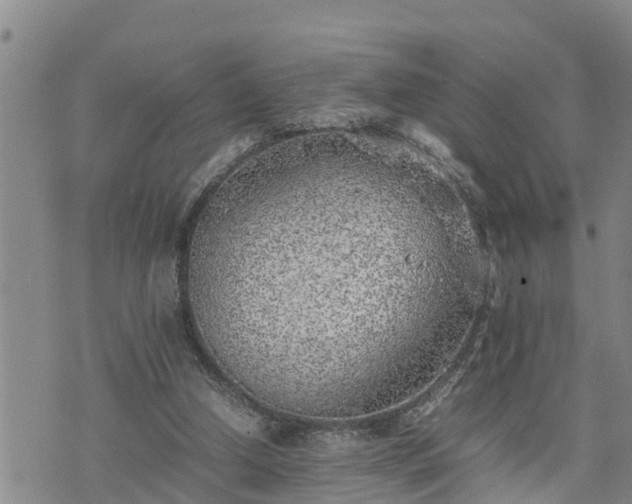 X0000074230250200609011249