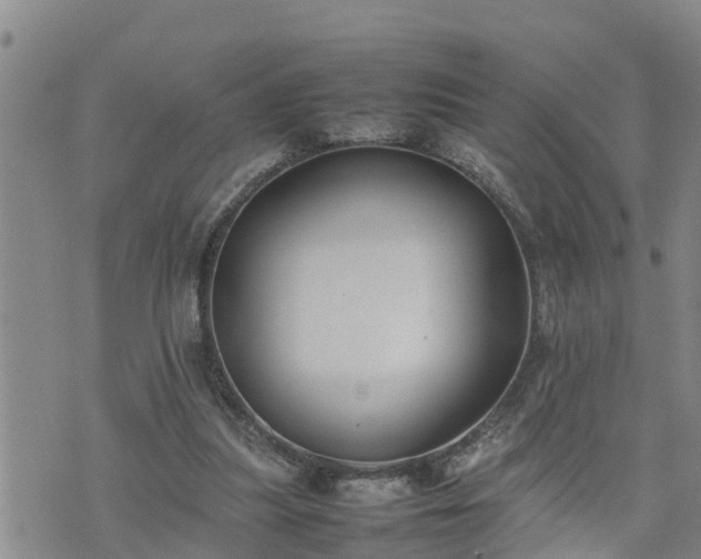 X0000074230251200609011249