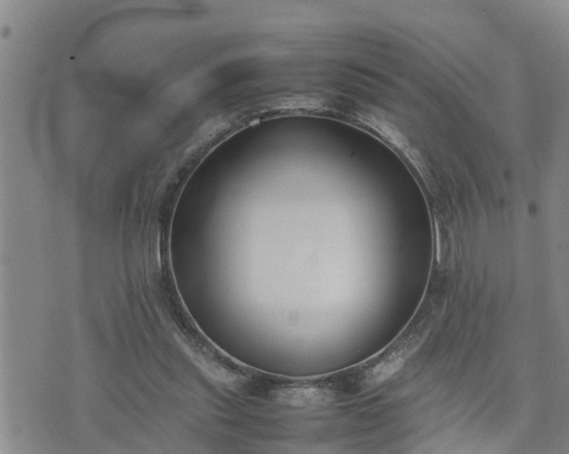 X0000074230253200609011249