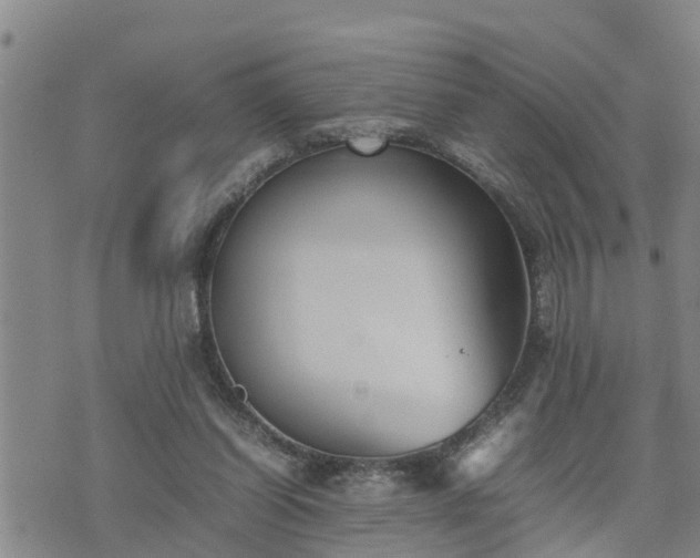 X0000074230254200609011249