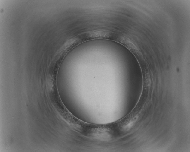 X0000074230255200609011249