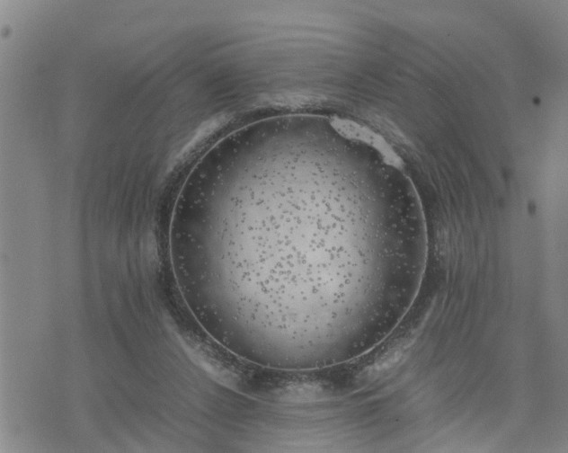 X0000074230256200609011249