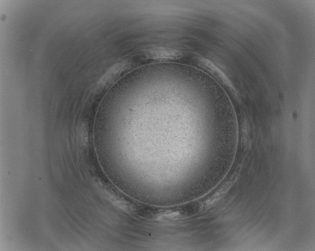 X0000074230257200609011249