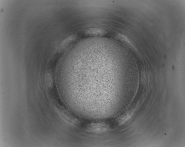 X0000074230259200609011249