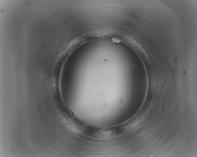 X0000074230260200609011249