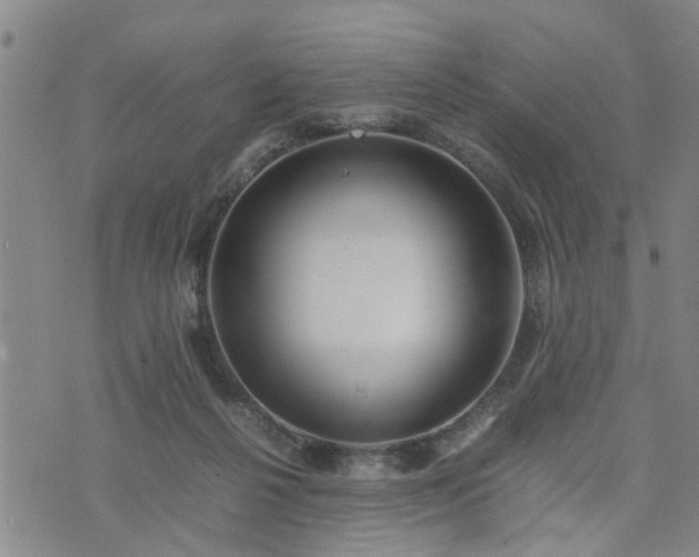 X0000074230264200609011249