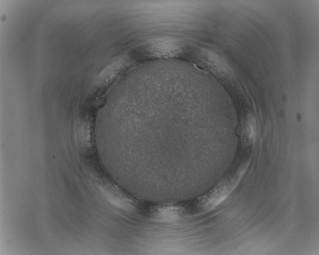 X0000074230268200609011249