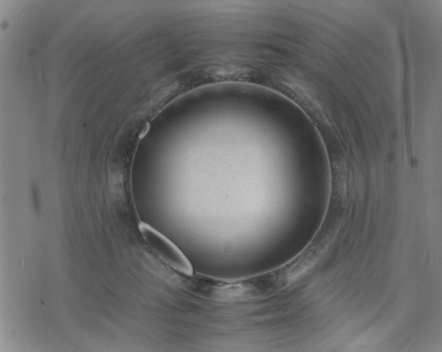 X0000074230269200609011249