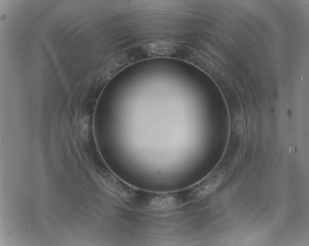 X0000074230271200609011249