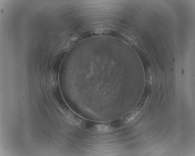 X0000074230272200609011249