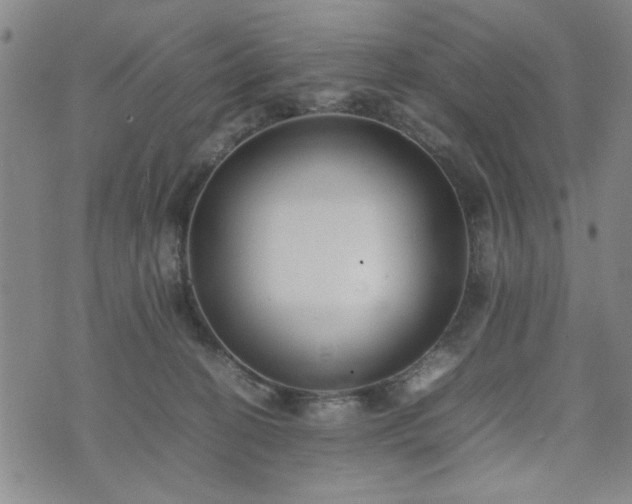 X0000074230274200609011249