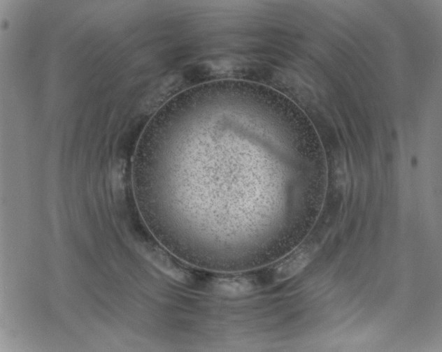 X0000074230275200609011249