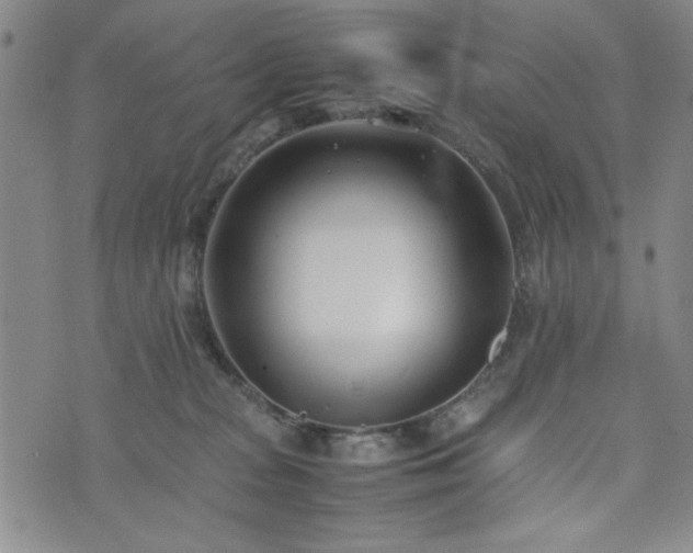 X0000074230277200609011249