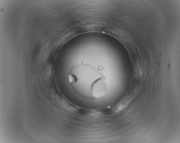 X0000074230278200609011249