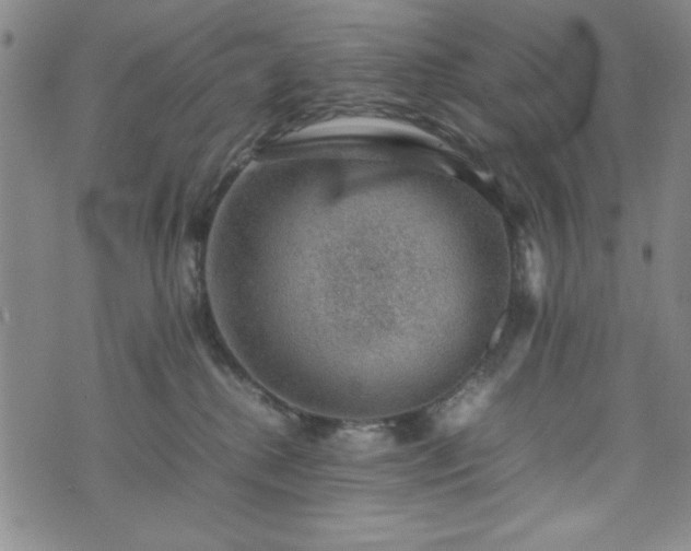 X0000074230280200609011249