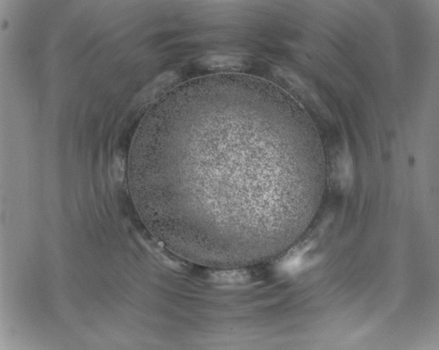 X0000074230281200609011249