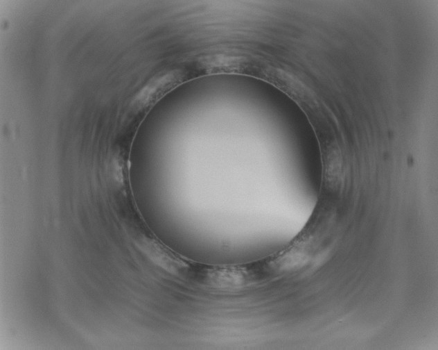 X0000074230282200609011249