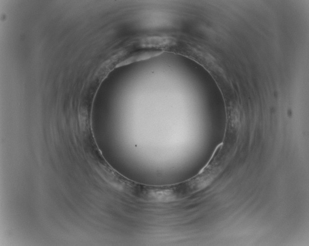 X0000074230283200609011249