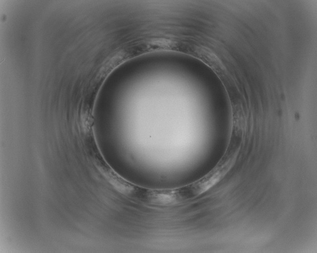 X0000074230285200609011249