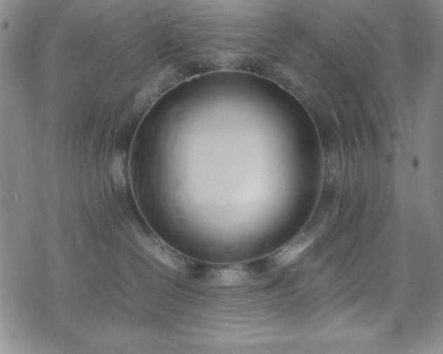 X0000074230286200609011249