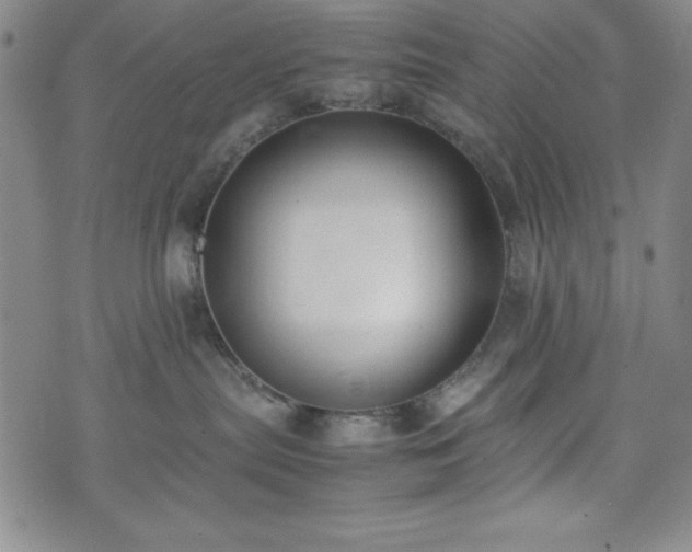 X0000074230287200609011249