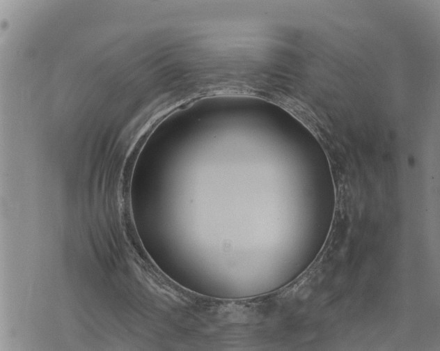 X0000074230290200609011249