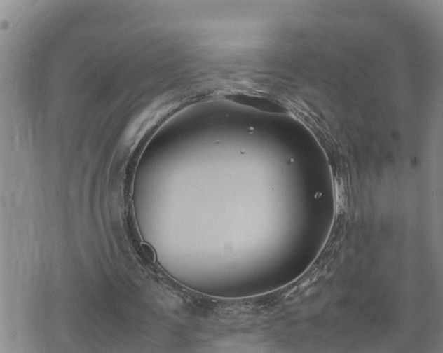 X0000074230291200609011248