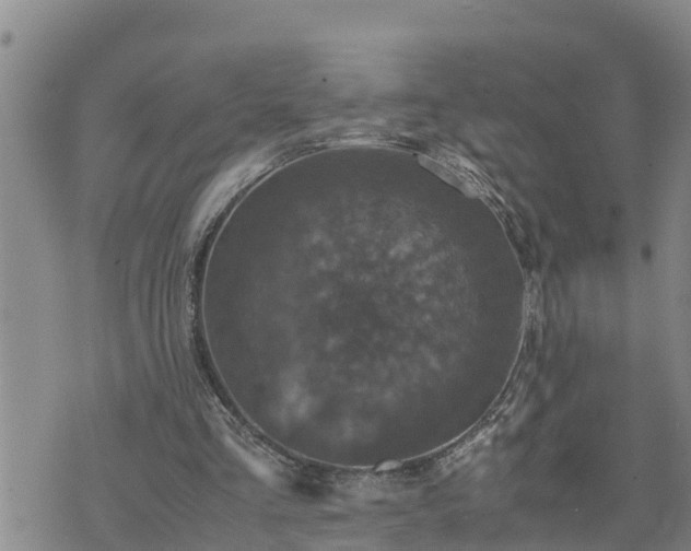 X0000074230293200609011248