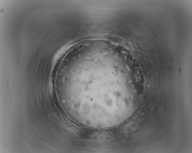 X0000074230294200609011248