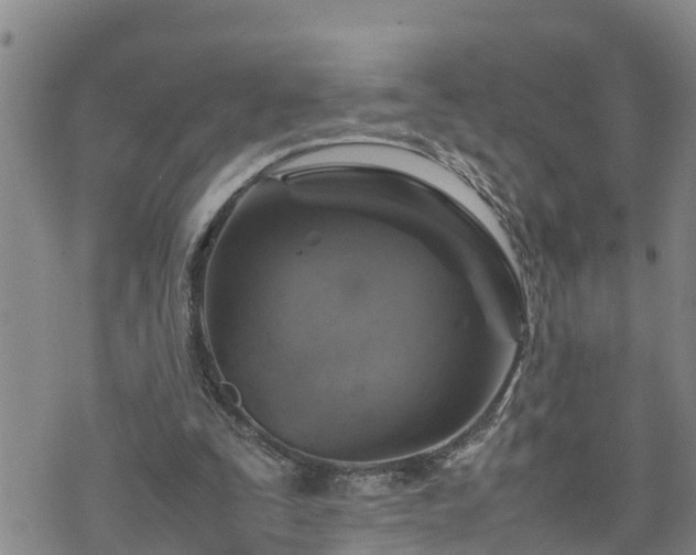 X0000074230295200609011248