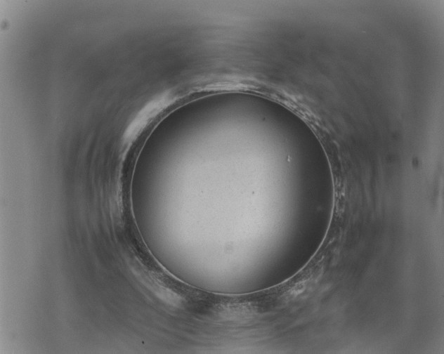 X0000074230296200609011248