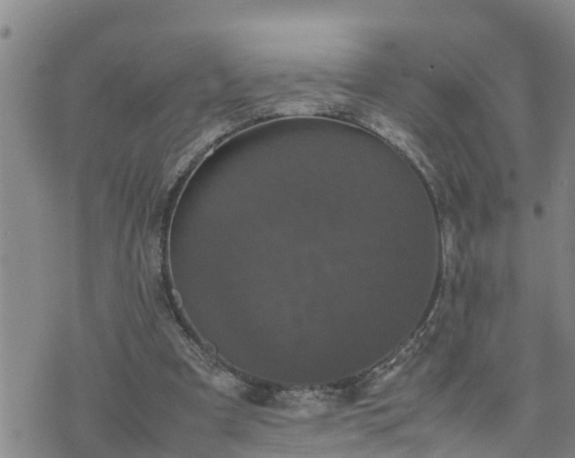 X0000074230297200609011248