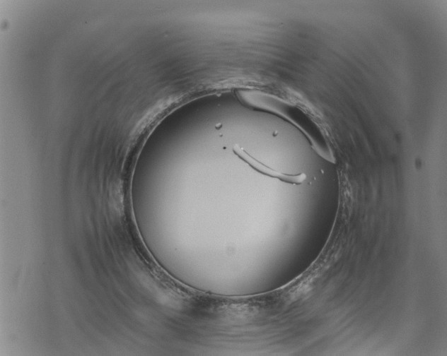 X0000074230298200609011248