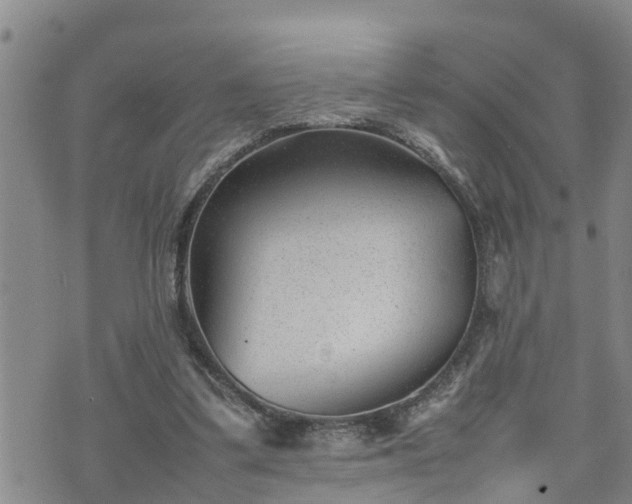 X0000074230299200609011248