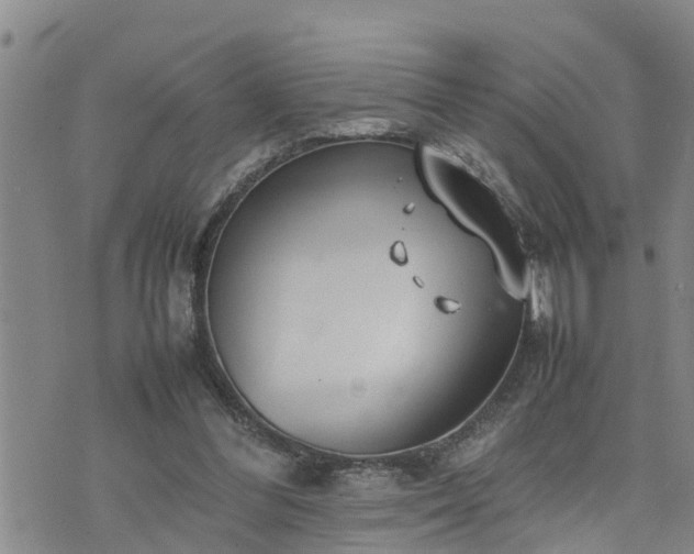 X0000074230300200609011248