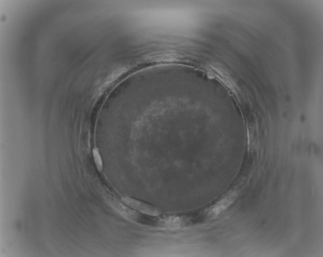 X0000074230301200609011248