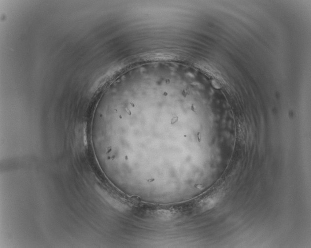 X0000074230302200609011248